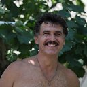 ���� �������� ������, ����, 54 ���� - ��������� 2 ������ 2013 � ������ ���� ����������