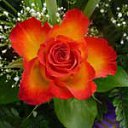 ���� Zigzag, �����, 38 ��� - ��������� 20 ������� 2013 � ������ ���������!�