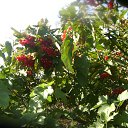 � ���� ���� ������ ����������!!!!! �� ������� ���� ����������