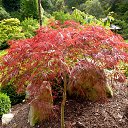 ���� ���, ������ - ��������� 23 ������� 2013 � ������ ���������, ��������...�