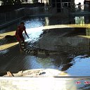 ���� �����, ��������, 52 ���� - ��������� 27 ������� 2013 � ������ ��������