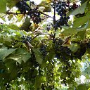 ��������..��� ��� ��� �� ����� ��� ��� �� ������� ���������