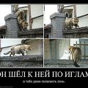 ���� �� ���, �������, 39 ��� - ��������� 11 ����� 2014 � ������ �������� � ����������