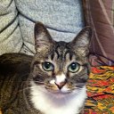 ���� �����, ����������� - ��������� 19 ������� 2013 � ������ ���� ����������