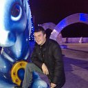 ���� ����, ���������, 37 ��� - ��������� 1 ������� 2014 � ������ ���� ����������