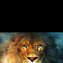 ���� ������, �����������, 51 ��� - ��������� 4 ������� 2013