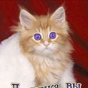  Lyubov, , 67  -  15  2014    