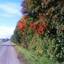 ���� Igor Malaev, ���������, 62 ���� - ��������� 18 ������� 2013 � ������ ���� ����������