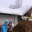 ���� ���������, �����������, 43 ���� - ��������� 5 ����� 2014 � ������ �� ���������� �����