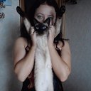 ���� Alina, ����� - ��������� 2 ������ 2013 � ������ ����� ��� ������������