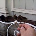 ���� ������, ��������, 60 ��� - ��������� 21 ������� 2013 � ������ ���� ����������