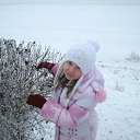 ���� ����, �����-���������, 36 ��� - ��������� 11 ������� 2014 � ������ ���� ����������