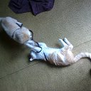 ���� John, �������, 67 ��� - ��������� 9 �������� 2013 � ������ �MOI PITOMCY�