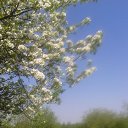 ���� �����, ������������ - ��������� 29 �������� 2013 � ������ ����� � ����.�