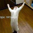 ���� ��������, ����������, 39 ��� - ��������� 27 ������� 2014 � ������ ������ ��������