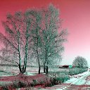 ���� Evgeny, ������, 75 ��� - ��������� 28 ������ 2014