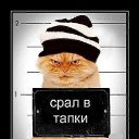 ���� ������, �����, 62 ���� - ��������� 13 ������ 2013 � ������ ���� ����������