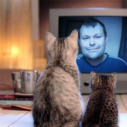 Nik, ������, 43 ����