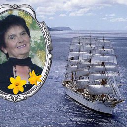 ���� ��������� ���������, ������� - ��������� 13 ������� 2014