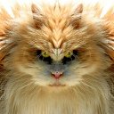  ,  , 65  -  10  2013    