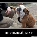 ���� ��������� ��������, ������, 62 ���� - ��������� 4 ������ 2014 � ������ ���� ����������