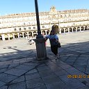 ��������� ������� �� ������� �������� ���������� 2013�