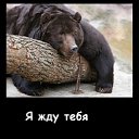 ���� Svetlana, ������, 63 ���� - ��������� 22 ������� 2014 � ������ ������ ��������