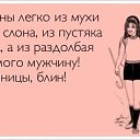 ���� �������, ������ - ��������� 9 ����� 2014 � ������ ������ ��������