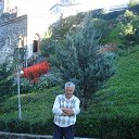  Vaxtang, , 66  -  27  2013    