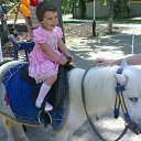 ���� ������, ���������, 41 ��� - ��������� 8 �������� 2013 � ������ ���� ����������