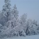 ���� �����, ��������� - ��������� 4 ������ 2014 � ������ ���� ����������