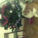 ���� ����, ������, 76 ��� - ��������� 20 ������ 2014 � ������ ���� ����������