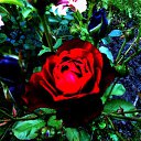 ���� ������� �., ����� - ��������� 5 ������� 2013 � ������ �������