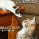����� ����� ������ ������......