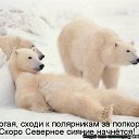 ���� ������, �������, 53 ���� - ��������� 21 ������� 2013 � ������ ���� ������.�