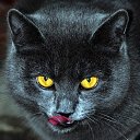 ���� ����, ������, 44 ���� - ��������� 6 ������� 2013