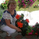 ���� ���������, ���������� - ��������� 31 ������� 2013 � ������ ���� ����������