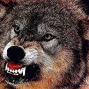 ���� ��������, �����-���������, 43 ���� - ��������� 18 ������� 2014 � ������ ���� ����������