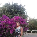 ���� Olga, �������-����� - ��������� 26 ������� 2013 � ������ ���� ����������