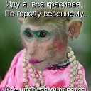 ���� ����, ������ - ��������� 17 ������� 2013 � ������ ��