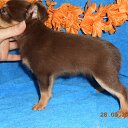 ������� �������� ������� 2 ���.������. �� ������� ���� ����������