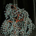 ���� �����, �����, 64 ���� - ��������� 20 ������� 2014 � ������ ���� ��������߻