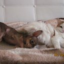   !!!!!, , 57  -  2  2014    