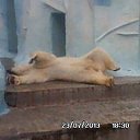 ���� ������, �����������, 35 ��� - ��������� 28 ������� 2014 � ������ ���� ����������