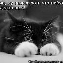 ���� ���, ������������, 30 ��� - ��������� 26 ������� 2013 � ������ ���� ����������