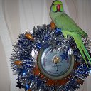 ���� ������, ����� - ��������� 14 ����� 2014 � ������ ������!�