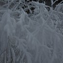 ���� ������, ������, 39 ��� - ��������� 9 ������� 2014 � ������ �����