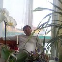 ���� �����, ���, 43 ���� - ��������� 11 ������ 2014 � ������ ���� ����������