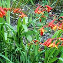 ���� ������� �., ����� - ��������� 17 ������� 2013 � ������ �������