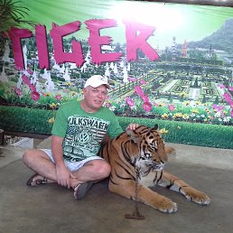 ���� ����, ������, 61 ��� - ��������� 3 �������� 2013